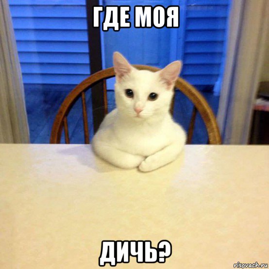 где моя дичь?, Мем ПЯТНИЦА ВЕЧЕР БЕКОООЩЬ