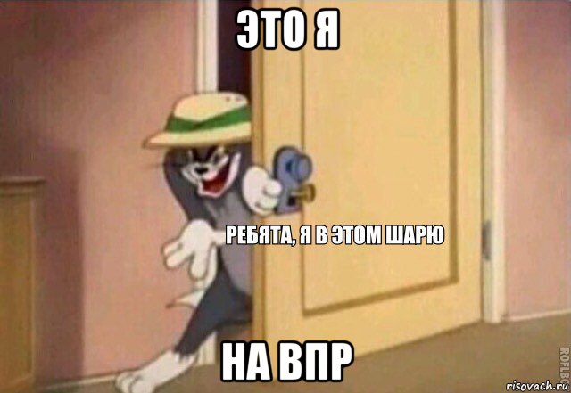 это я на впр, Мем    Ребята я в этом шарю