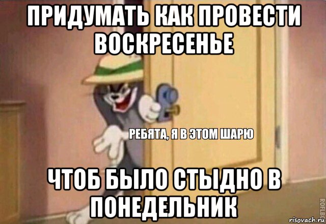 придумать как провести воскресенье чтоб было стыдно в понедельник, Мем    Ребята я в этом шарю