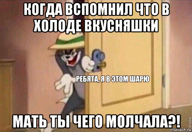 когда вспомнил что в холоде вкусняшки мать ты чего молчала?!, Мем    Ребята я в этом шарю