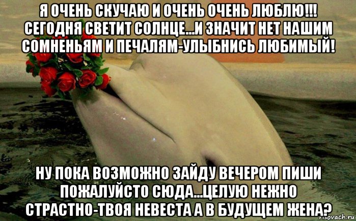 я очень скучаю и очень очень люблю!!! сегодня светит солнце...и значит нет нашим сомненьям и печалям-улыбнись любимый! ну пока возможно зайду вечером пиши пожалуйсто сюда...целую нежно страстно-твоя невеста а в будущем жена?, Мем Розы для любимого моего ДР