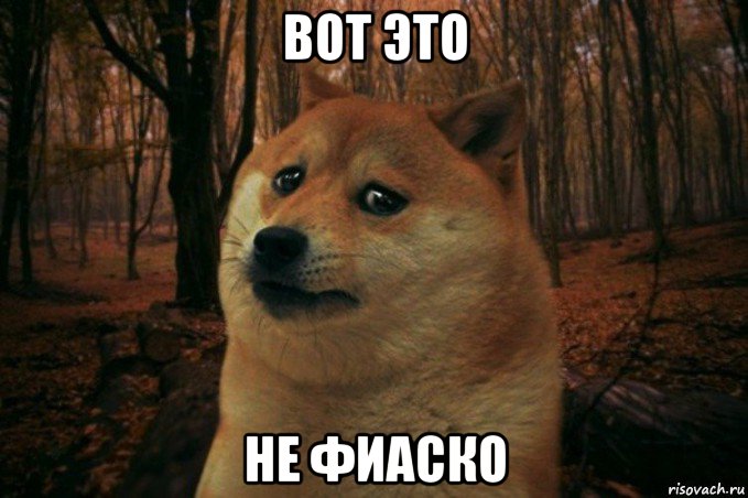 вот это не фиаско, Мем SAD DOGE