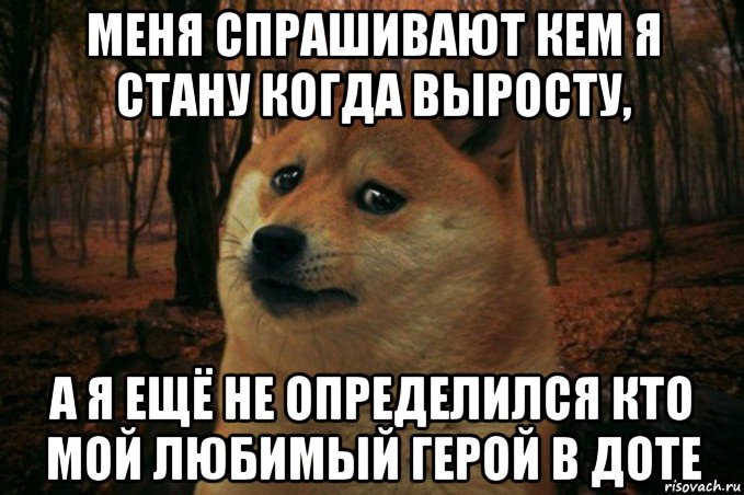 меня спрашивают кем я стану когда выросту, а я ещё не определился кто мой любимый герой в доте, Мем SAD DOGE