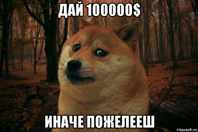 дай 100000$ иначе пожелееш, Мем SAD DOGE