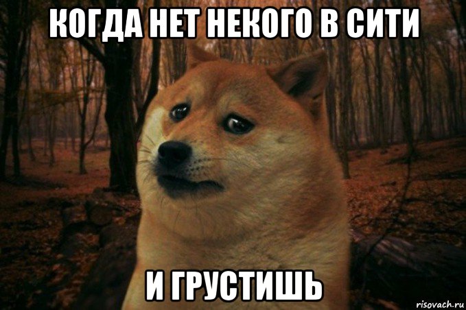 когда нет некого в сити и грустишь, Мем SAD DOGE