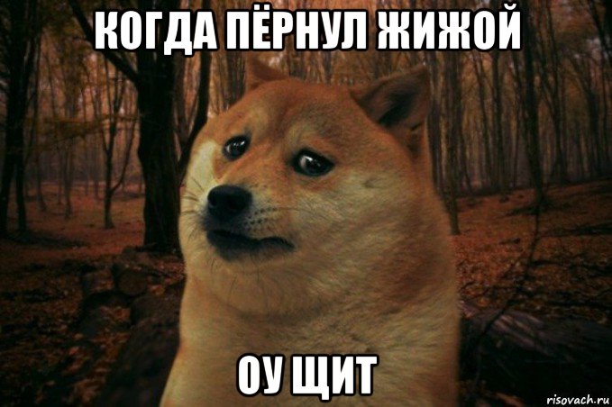 когда пёрнул жижой оу щит, Мем SAD DOGE