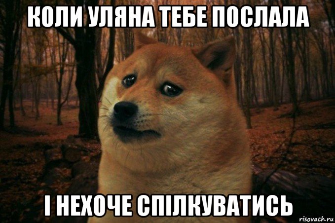 коли уляна тебе послала і нехоче спілкуватись, Мем SAD DOGE