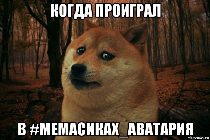 когда проиграл в #мемасиках_аватария, Мем SAD DOGE