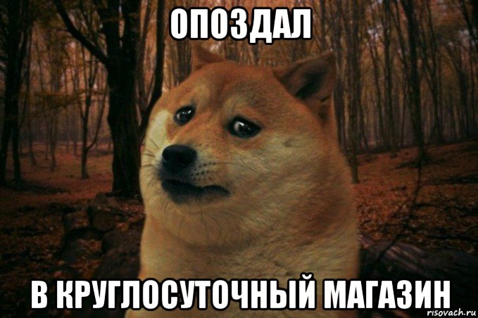 опоздал в круглосуточный магазин, Мем SAD DOGE