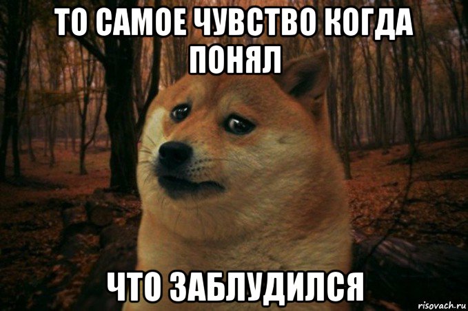 то самое чувство когда понял что заблудился, Мем SAD DOGE