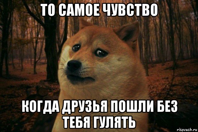 то самое чувство когда друзья пошли без тебя гулять, Мем SAD DOGE