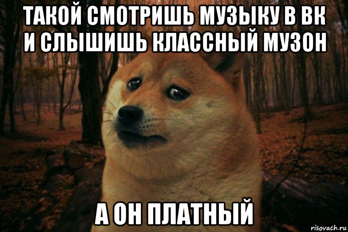 такой смотришь музыку в вк и слышишь классный музон а он платный, Мем SAD DOGE