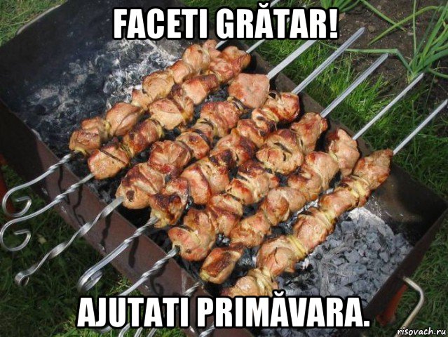 faceti grătar! ajutati primăvara., Мем шашлык