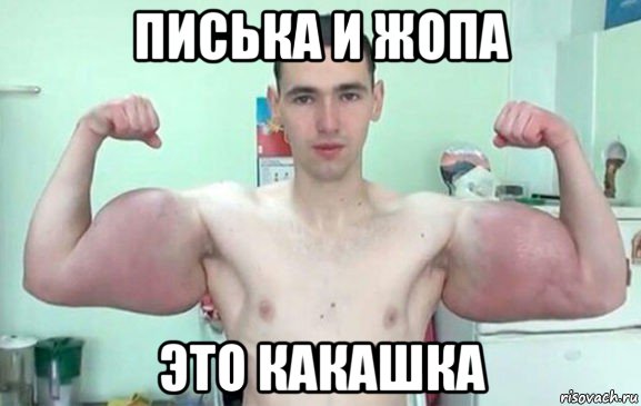 писька и жопа это какашка, Мем Синтол