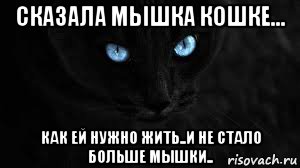 сказала мышка кошке... как ей нужно жить..и не стало больше мышки.., Мем Сказала мышка кошкекак ей жить