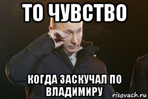 то чувство когда заскучал по владимиру, Мем Слезы Путина