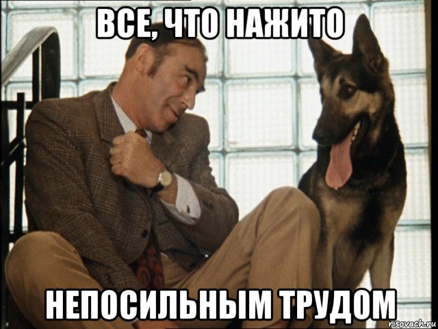 все, что нажито непосильным трудом, Мем Собака с милицией