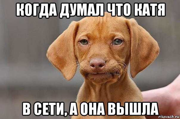 когда думал что катя в сети, а она вышла