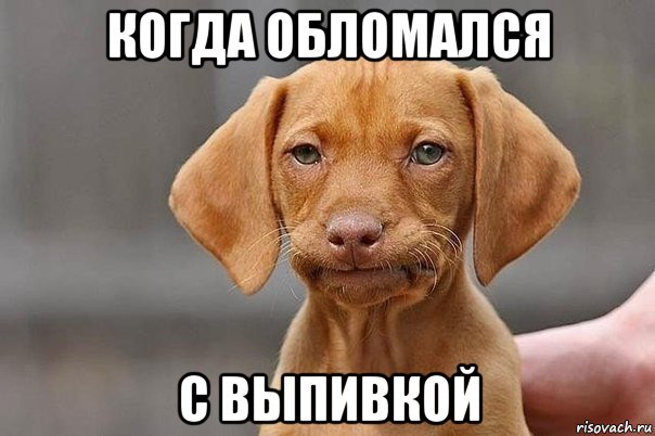 когда обломался с выпивкой