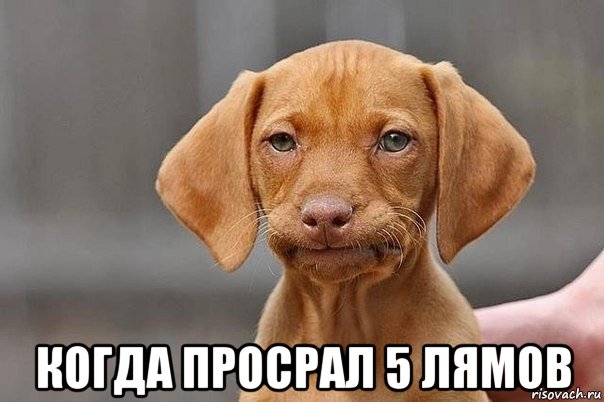  когда просрал 5 лямов