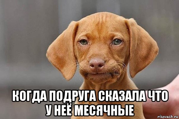  когда подруга сказала что у неё месячные