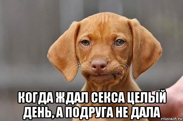  когда ждал секса целый день, а подруга не дала