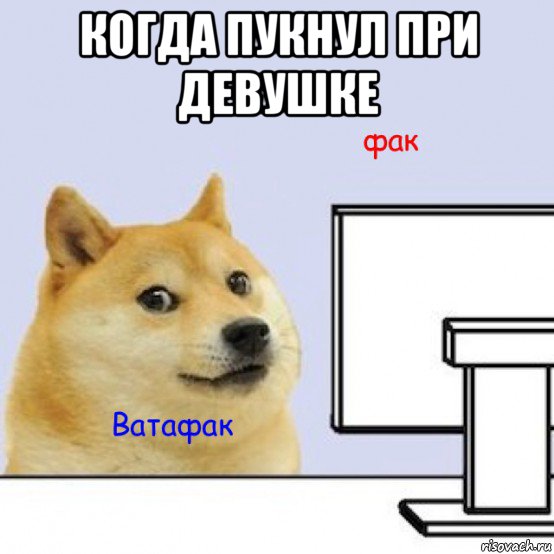 когда пукнул при девушке , Мем Собака за компьютером