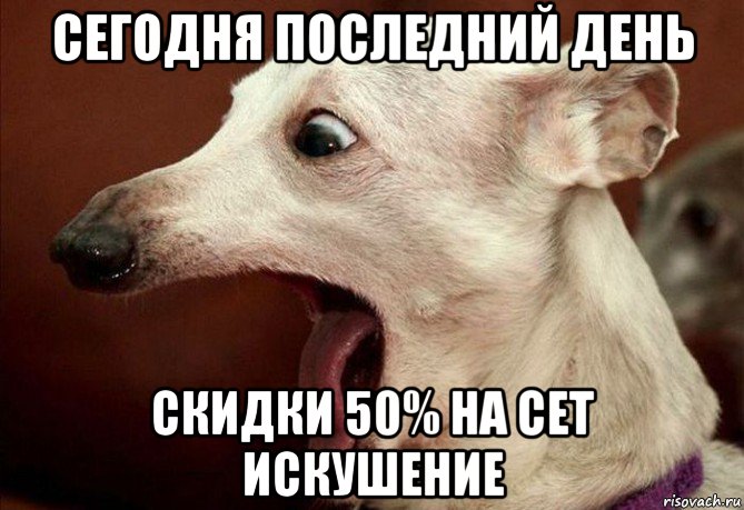 сегодня последний день скидки 50% на сет искушение, Мем  собака