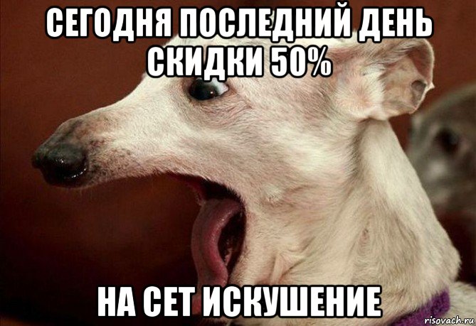 сегодня последний день скидки 50% на сет искушение, Мем  собака