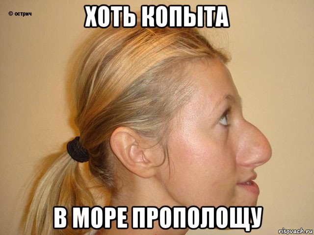 хоть копыта в море прополощу