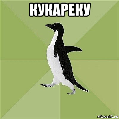 кукареку , Мем  Среднестатистический пингвин