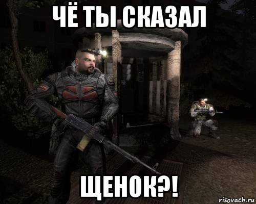 чё ты сказал щенок?!