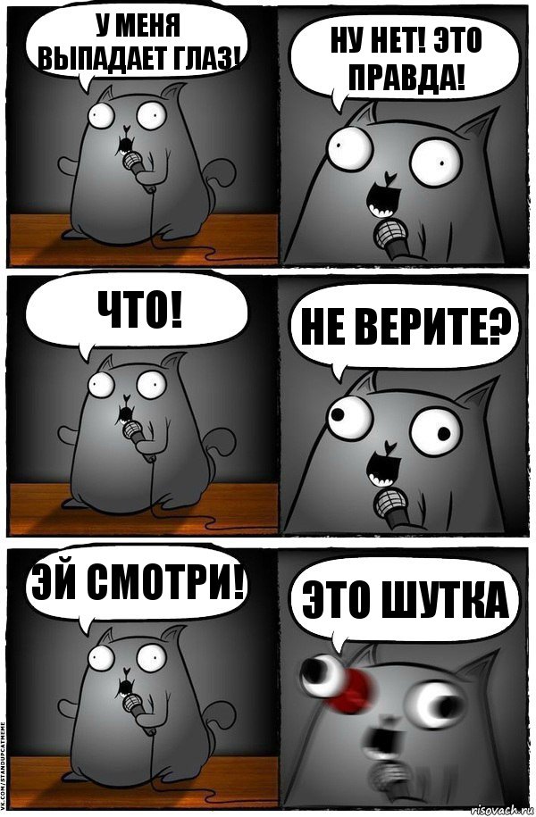 у меня выпадает глаз! ну нет! это правда! что! не верите? эй смотри! это шутка, Комикс  Стендап-кот