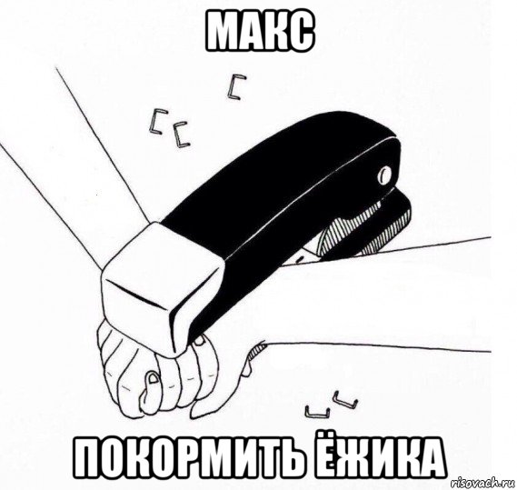 макс покормить ёжика