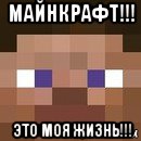 майнкрафт!!! это моя жизнь!!!, Мем стив