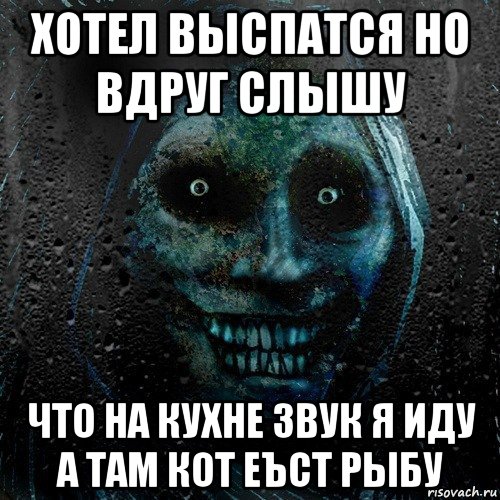 хотел выспатся но вдруг слышу что на кухне звук я иду а там кот еъст рыбу