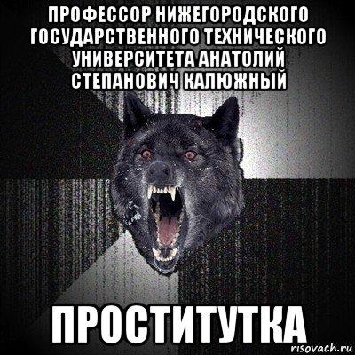 профессор нижегородского государственного технического университета анатолий степанович калюжный проститутка, Мем Сумасшедший волк