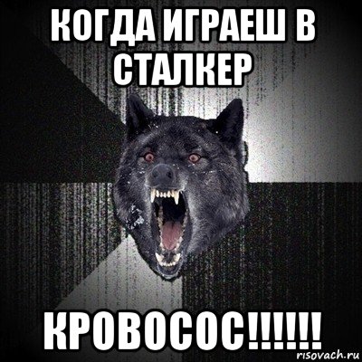 когда играеш в сталкер кровосос!!!!!!, Мем Сумасшедший волк