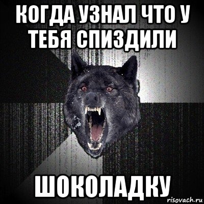 когда узнал что у тебя спиздили шоколадку, Мем Сумасшедший волк