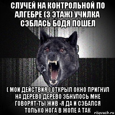 случей на контрольной по алгебре (3 этаж) училка сэблась бодя пошел ( мои действия ) открыл окно пригнул на дерево дерево эбнулось мне говорят-ты жив -я да и сэбался только нога в жопе а так, Мем Сумасшедший волк