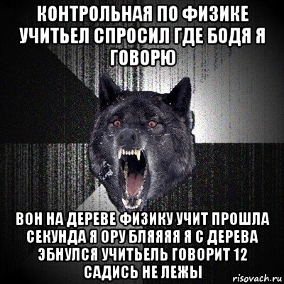 контрольная по физике учитьел спросил где бодя я говорю вон на дереве физику учит прошла секунда я ору бляяяя я с дерева эбнулся учитьель говорит 12 садись не лежы, Мем Сумасшедший волк