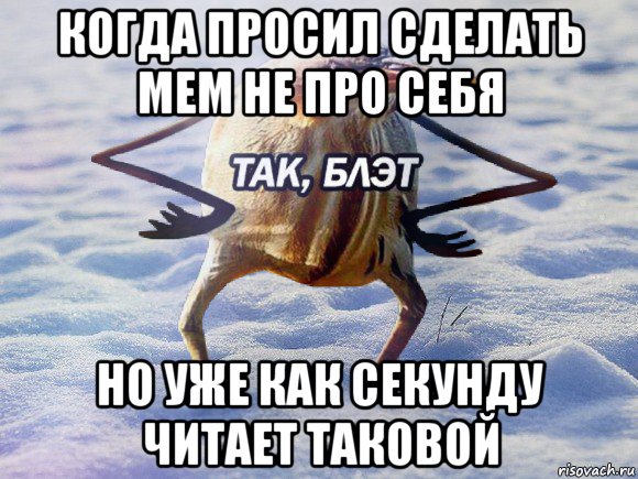 когда просил сделать мем не про себя но уже как секунду читает таковой, Мем  Так блэт птица с руками