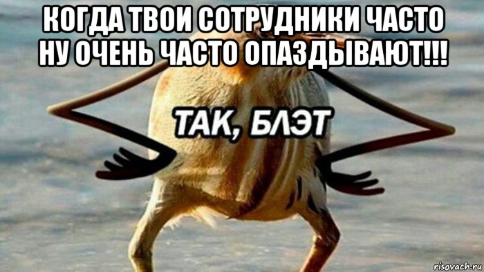 когда твои сотрудники часто ну очень часто опаздывают!!! , Мем  Так блэт