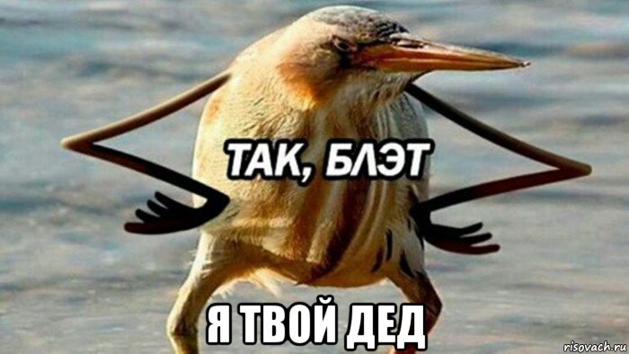  я твой дед, Мем  Так блэт