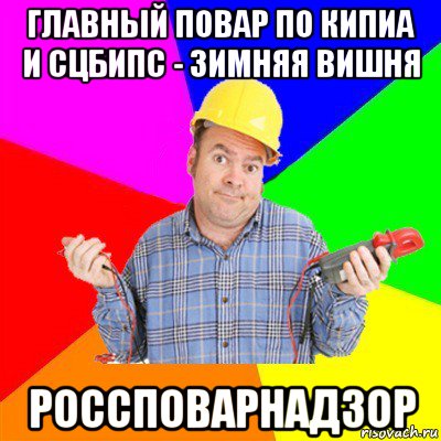 главный повар по кипиа и сцбипс - зимняя вишня россповарнадзор, Мем Типичный электрик