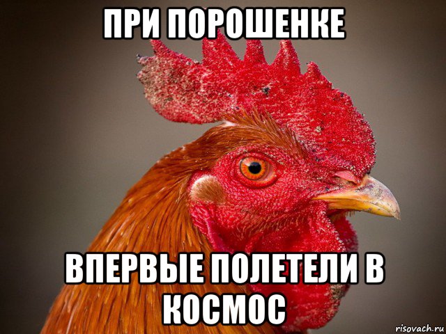 при порошенке впервые полетели в космос