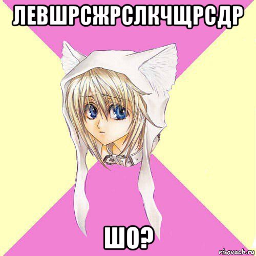 левшрсжрслкчщрсдр шо?