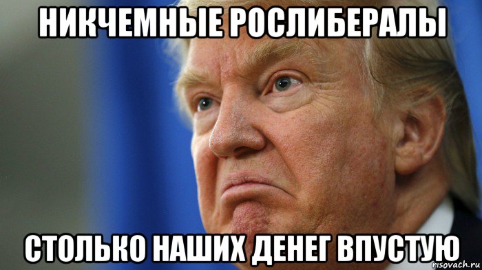 никчемные рослибералы столько наших денег впустую