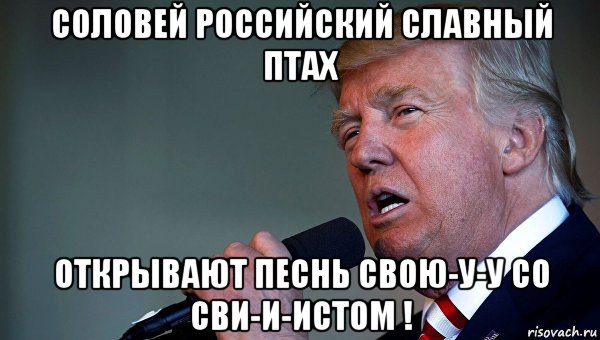 соловей российский славный птах открывают песнь свою-у-у со сви-и-истом !