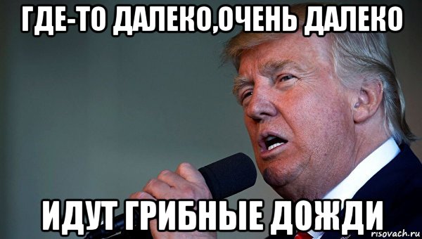 где-то далеко,очень далеко идут грибные дожди